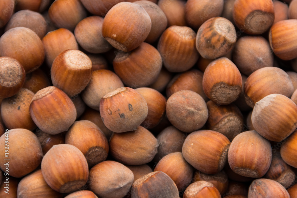 Food background of the hazelnuts. Fresh filbert close-up Food background of the hazelnuts. Fresh filbert close-up