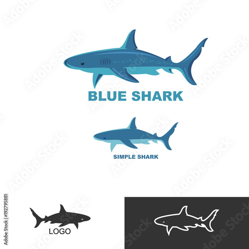 blue shark, aquatic creature
