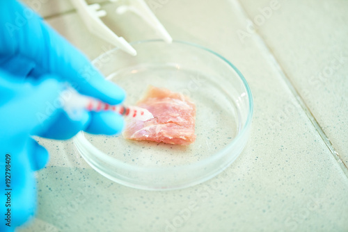 Close-up shot of unrecognizable researcher wrapped up in growing cultured meat while working on ambitious project in modern lab