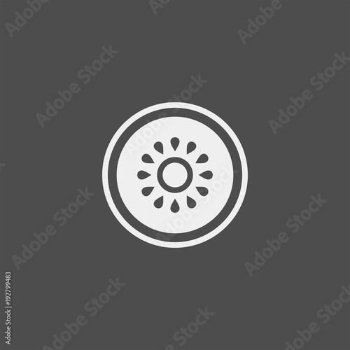 Kiwi flat vector icon