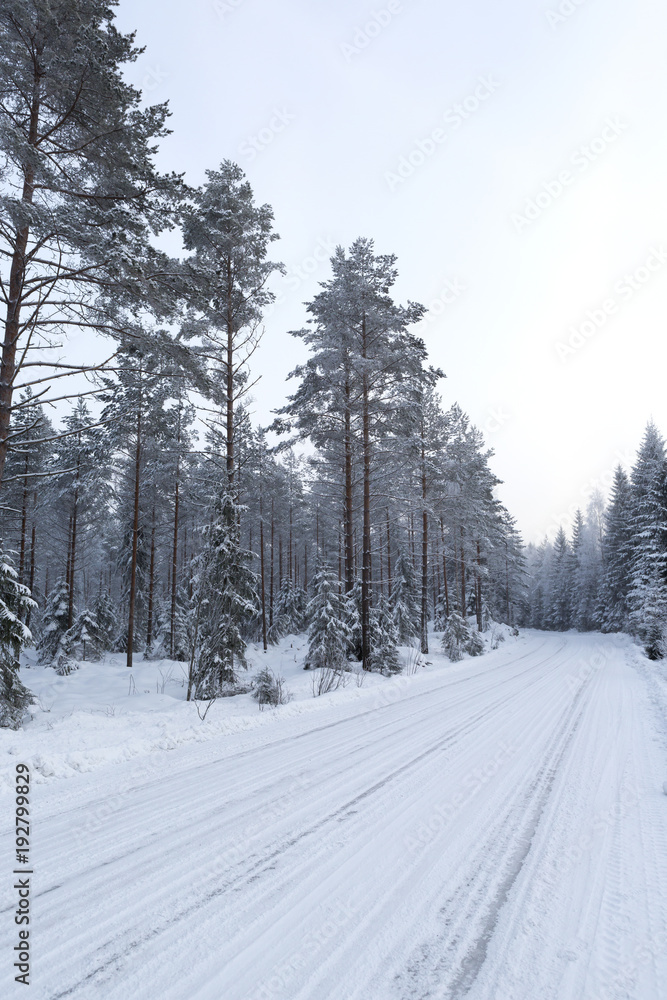 Snowy road in the countryside in Finland. Trees around the curvy road. Slippery to drive. Drive through winter wonderland.