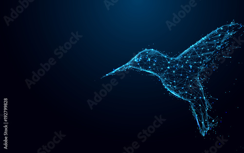 Fotografia Abstract Hummingbird form lines and triangles, point connecting network on blue background