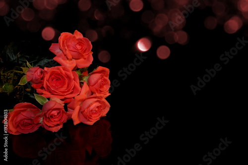 красивая розовая роза на черном фоне с отражением © Valentina A