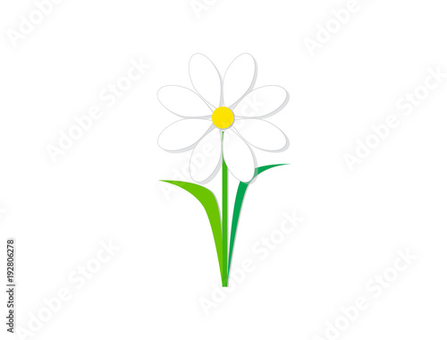  Design icons vector illustration of a flower (chamomile). 