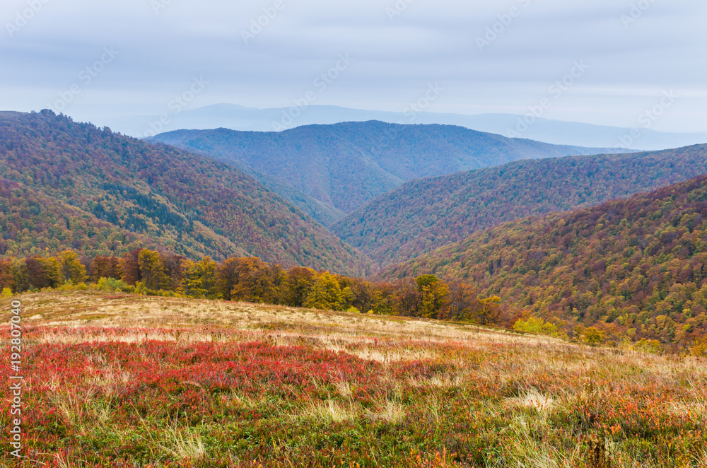 Colorful autumn landscape. Ukrainian Carpathians. Borzhava.