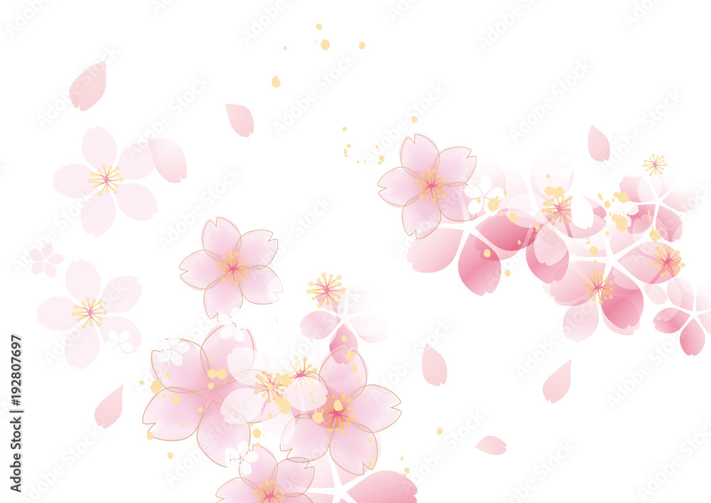 咲くふわ 桜 シンプル 白