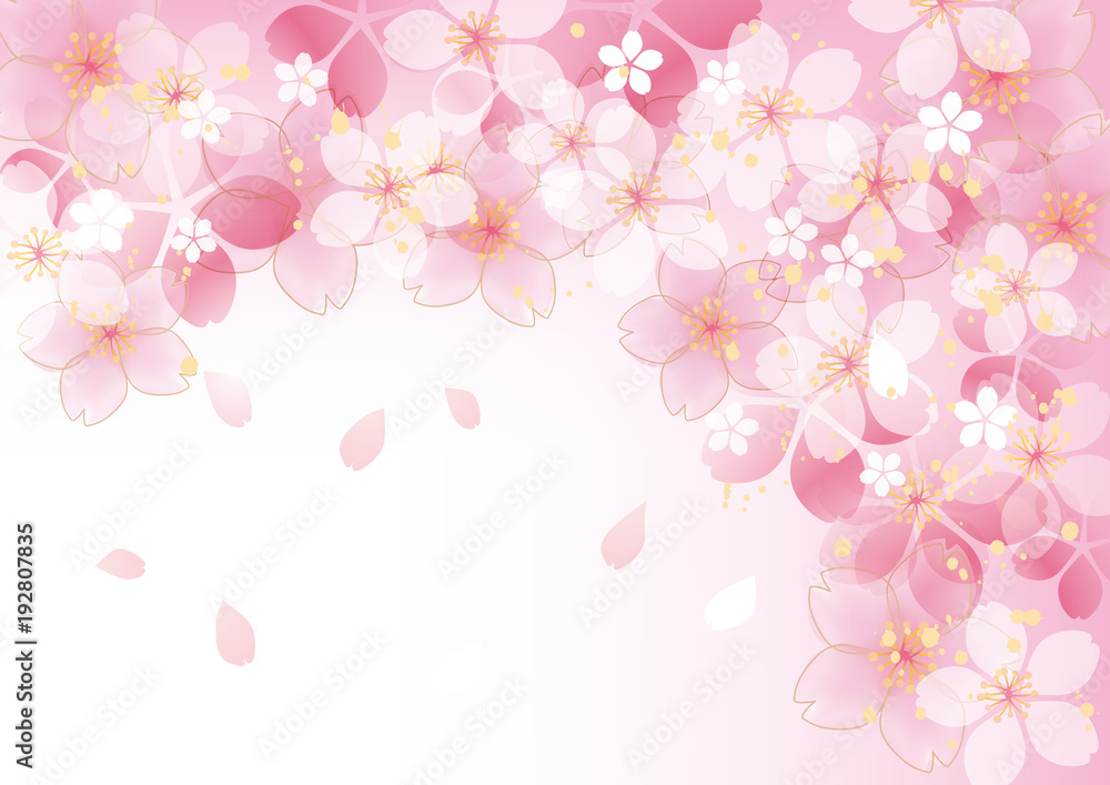 咲くふわふ 桜