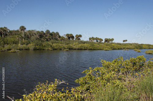 Canaveral National Seashore, Parc national, Floride, Etats Unis, USA photo