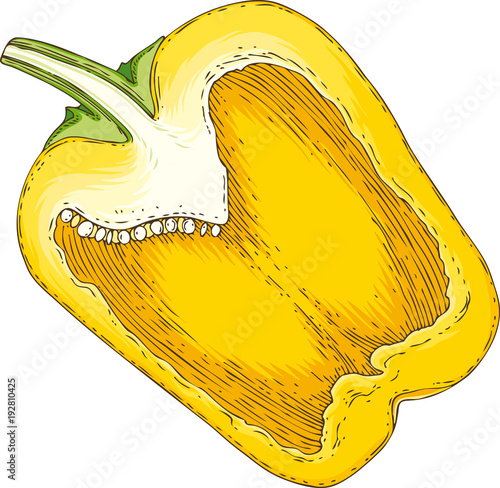 Yellow Bell Pepper in Cross Section