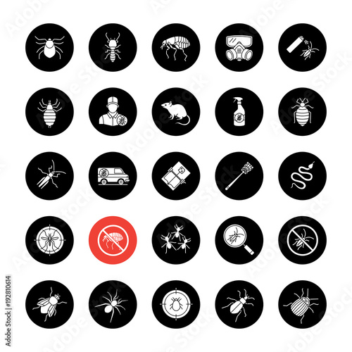 Pest control glyph icons set