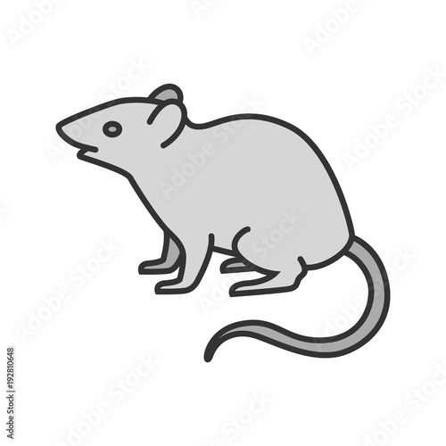 Mouse, rat color icon © bsd studio