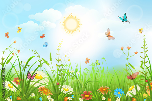 Naklejka Lato lub wiosną łąka z zielonej trawy, dekoracje kwiatów i motyli