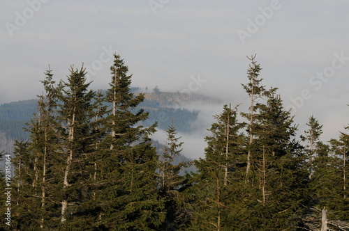 Panorama View over the clouds on the Brocken