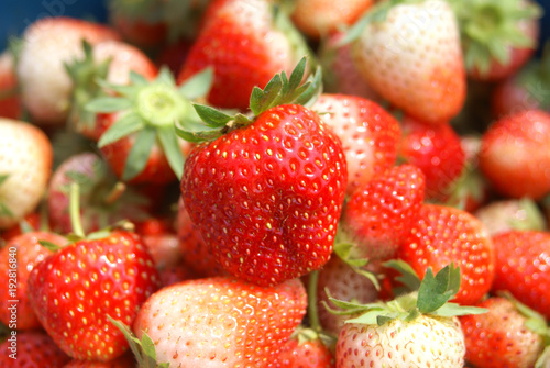 strawberry fruit in garden