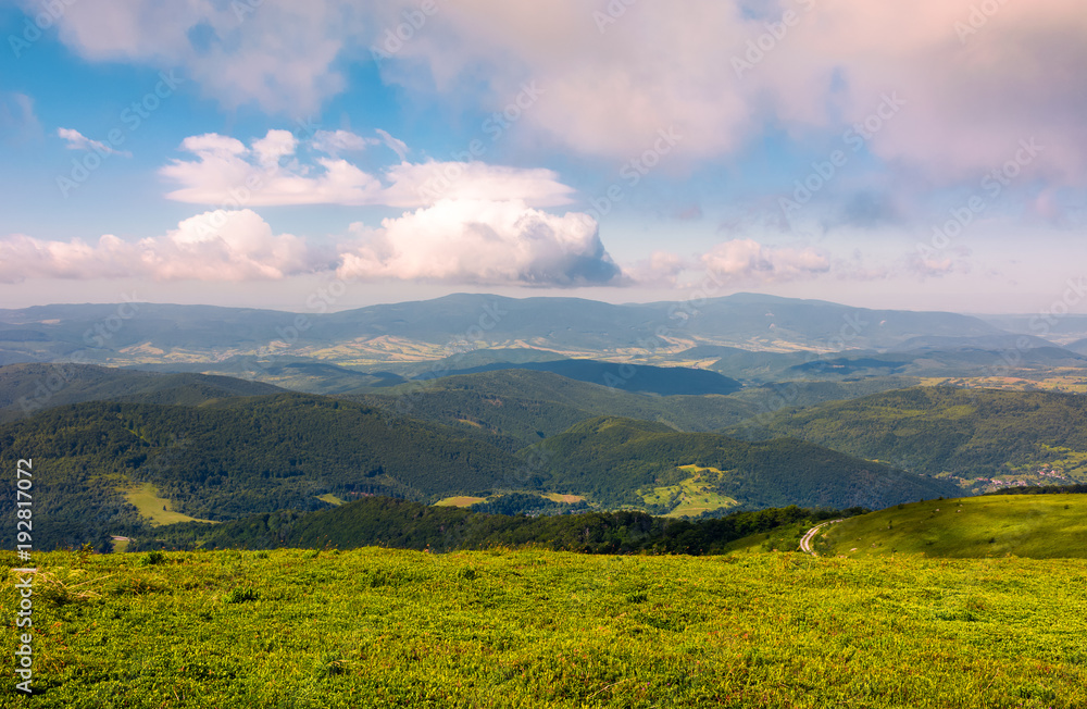 grassy meadow on hillside on a cloudy day. beautiful mountainous landscape in summertime. location Runa mountain, Ukraine