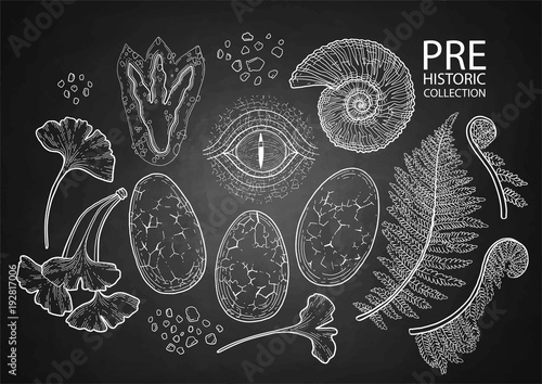 Graphic prehistoric collection