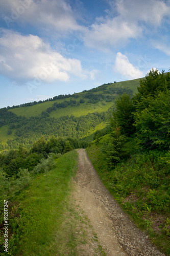 A beautiful landscape of the countryside - a dirt road, green forest and sky in bright clouds