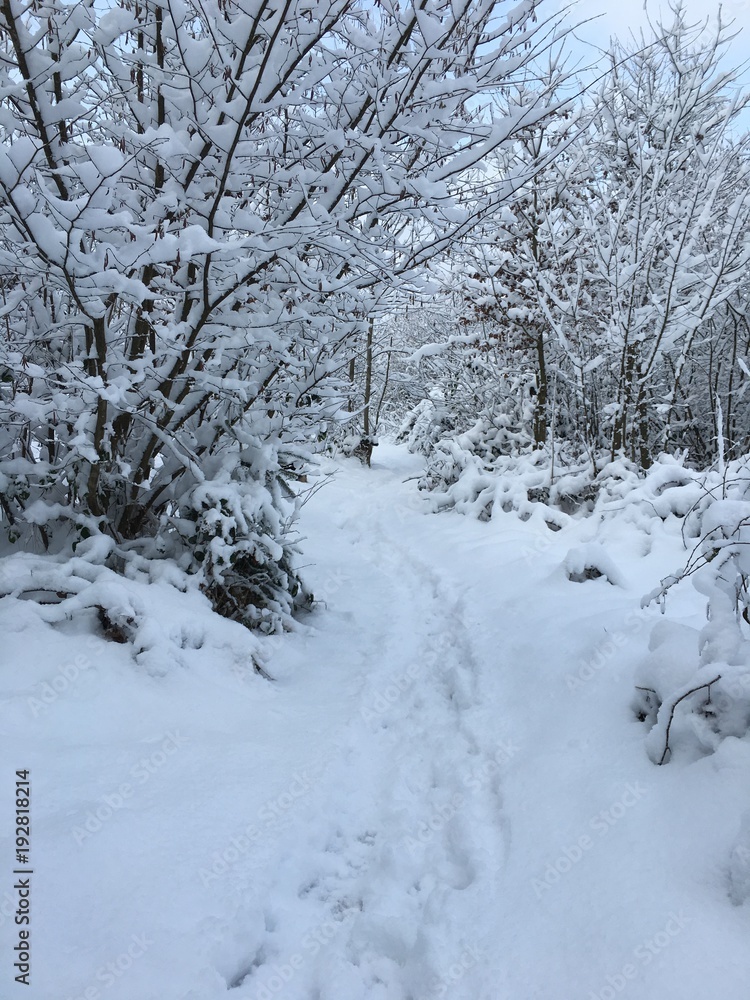 Schneewunderland Schneewunderland