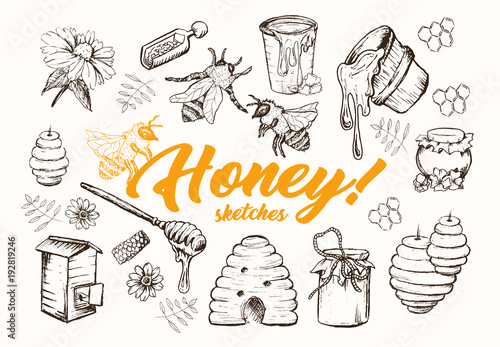 Honey Sketches Set, Bee Hive, Honey Jar, Barrel, Pot, Spoon And Flower Hand Drawn Superfood Organic Products, Vector Illustration. Black Outline Engraving Elements.Vintage Isolated Vector Illustration