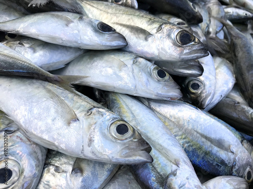 Fresh fish put on ice in market. Phuket Thailand.