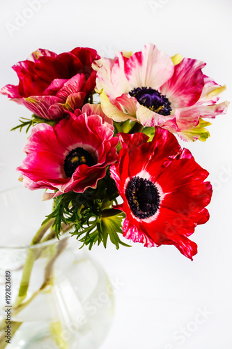 Canvas Print bouquet anemones in glass jug