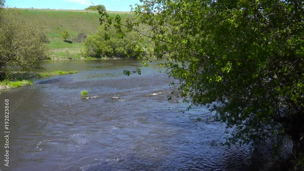 Spring river stream at sunny weather, 4K UHD video clip Spring river stream at sunny weather, 4K UHD video clip