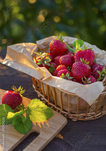 Ripe strawberries in a wicker basket. Sunny day. photo