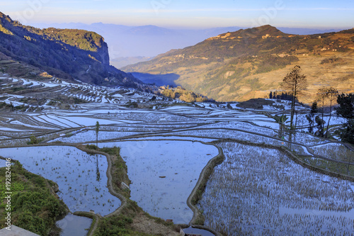 Paddy fields, Rice terraces. In Yunnan province China photo