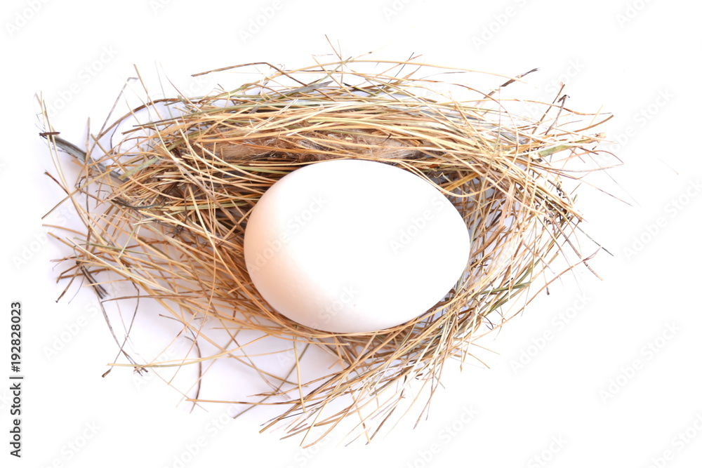 Easter. Orange and white chicken egg in straw nest near box with color ink and painting brush. White background Easter. Orange and white chicken egg in straw nest near box with color ink and painting brush. White background