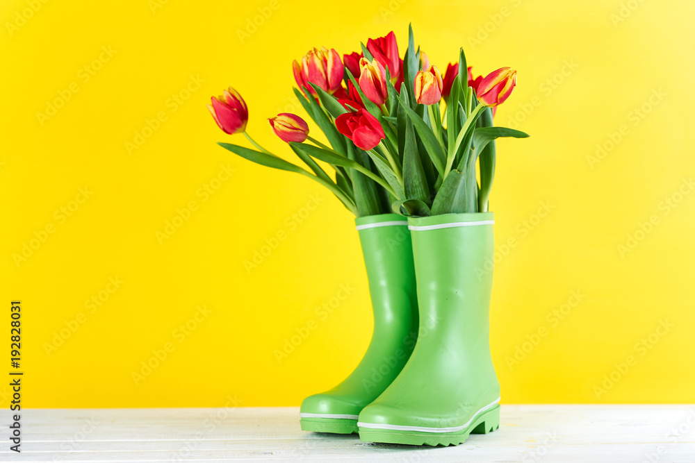 Red tulips in rubber boots Red tulips in rubber boots