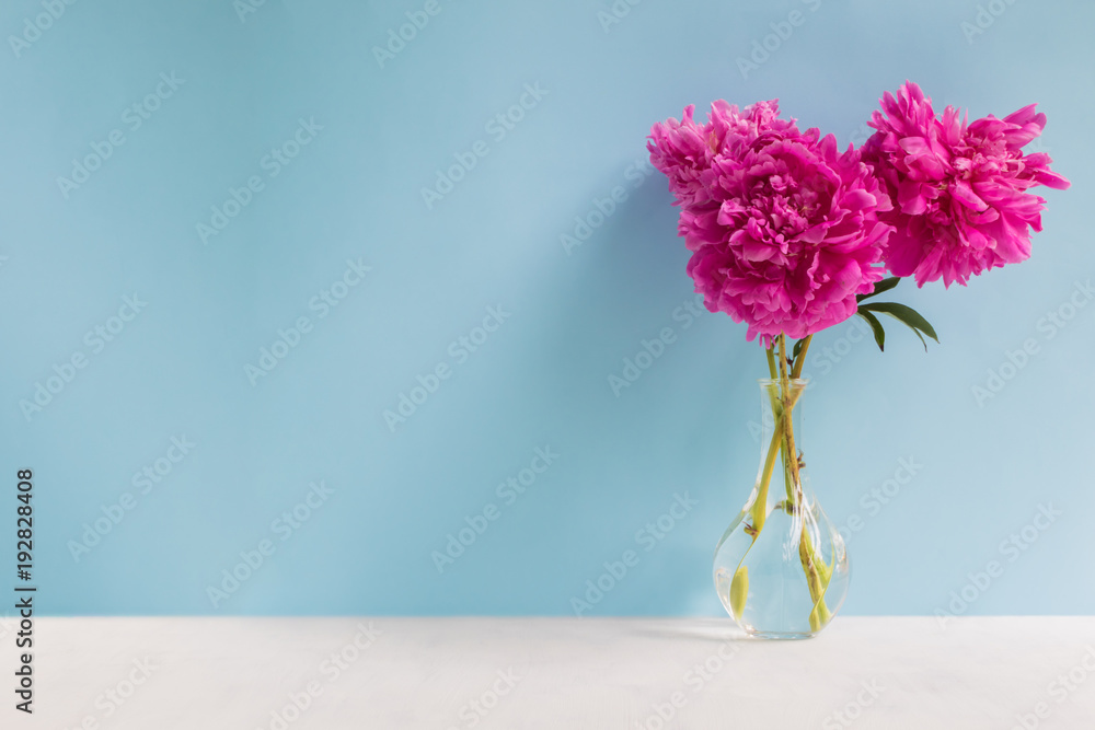 Fototapeta premium Pink peonies in a vase on a blue background