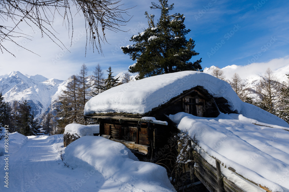 Snow carpet over wooden hut above Graechen in Switzerland Snow carpet over wooden hut above Graechen in Switzerland