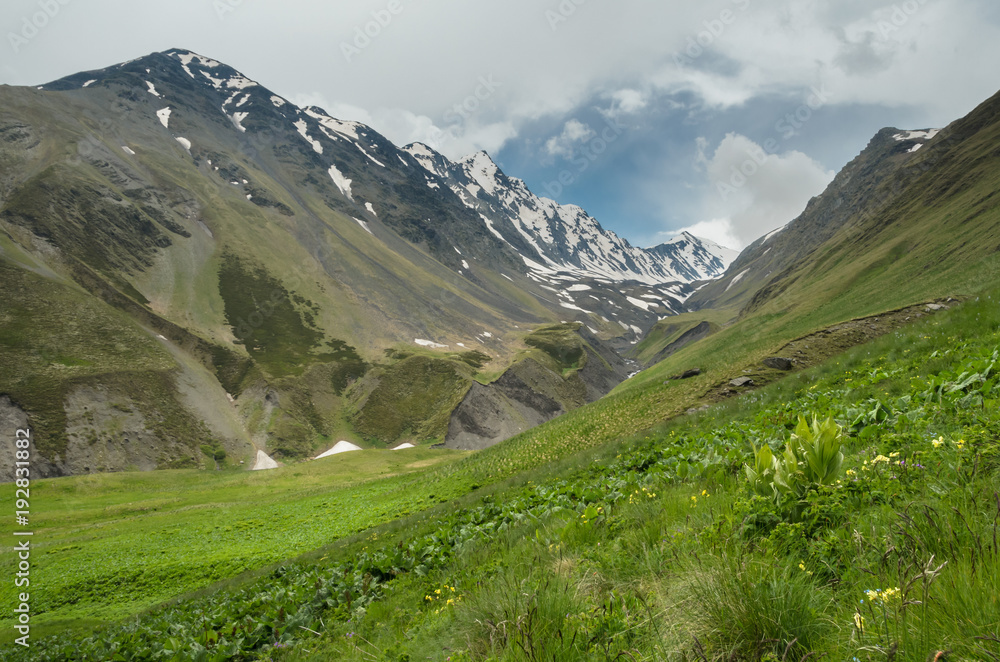 Obraz premium Hill covered with green grass. In the distance you can see high mountains partially covered with snow. Overcast summer day in Caucasus mountains in Georgia.