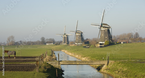 Windmills in winter