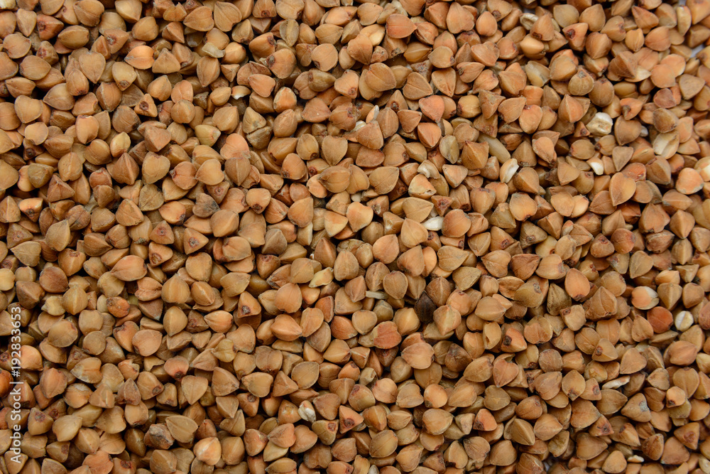 Fototapeta premium buckwheat