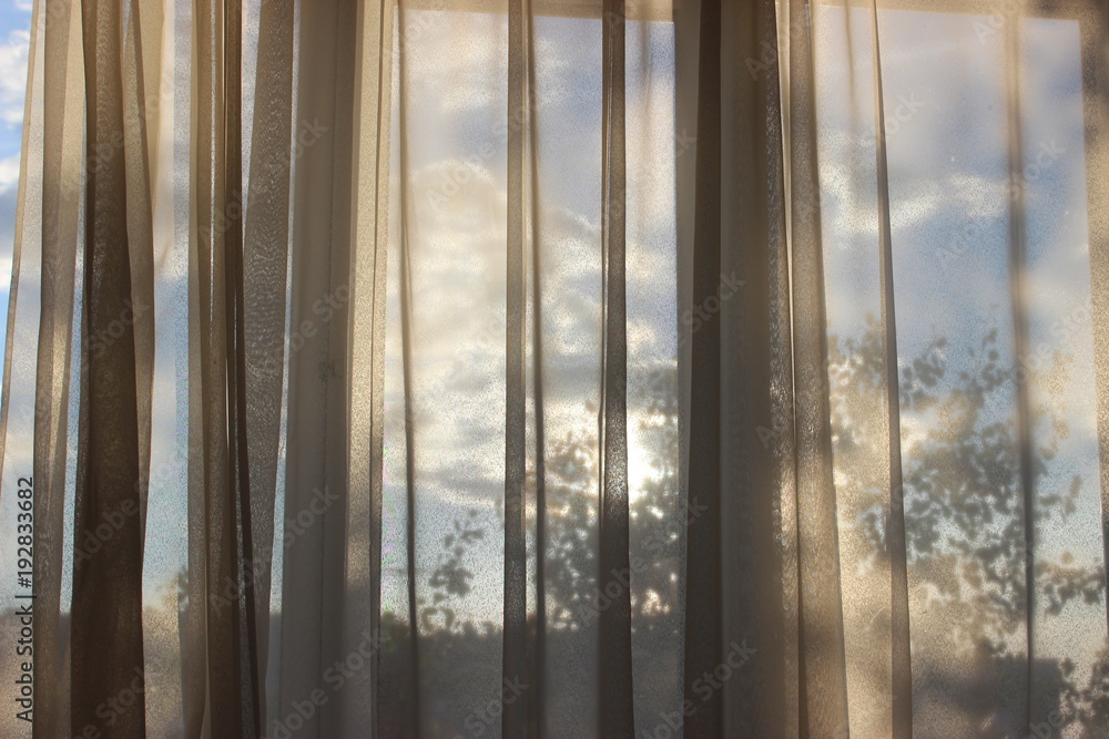 Fototapeta premium window