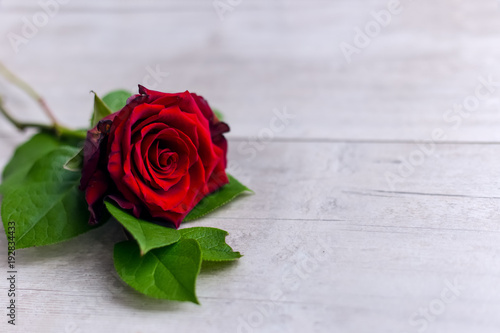 beautiful red roses flowers lie on a wooden table