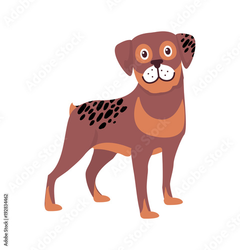Brown Dog Black Spots Vector Illustration Symbol