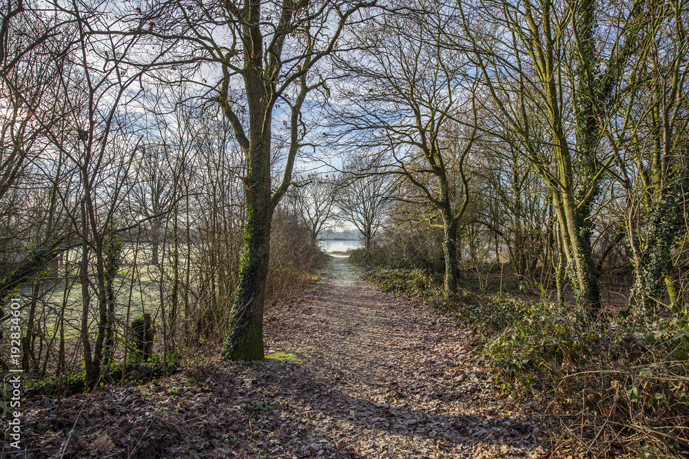 Hiking Path with View to River Maas at Bergen / Netherlands Hiking Path with View to River Maas at Bergen / Netherlands