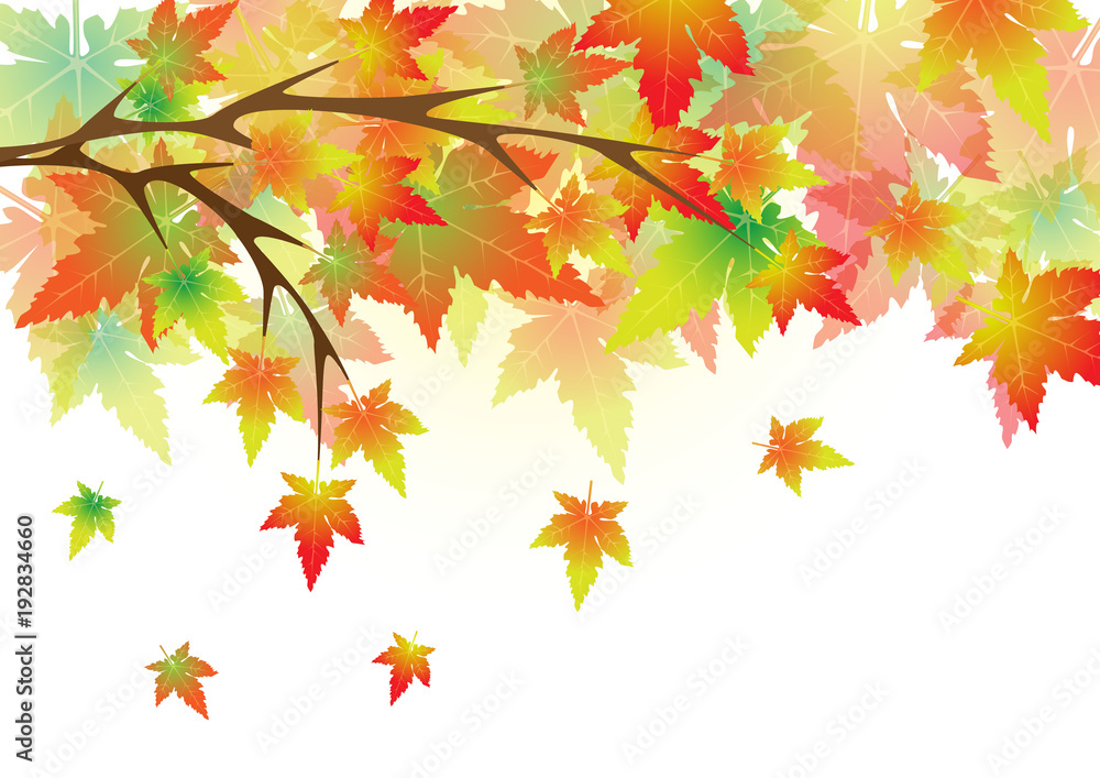 Concept and idea colorful autumn maple leaf background. Vector EPS10 Concept and idea colorful autumn maple leaf background. Vector EPS10
