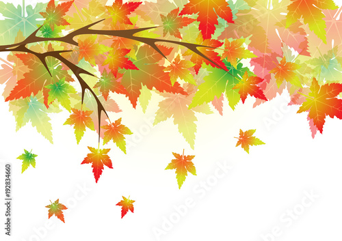 Concept and idea colorful autumn maple leaf background. Vector EPS10