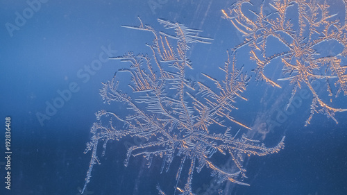 Snowflakes on the window in supermacro shooting. They are highlighted by the sunset. Real real snowflakes shot very close.