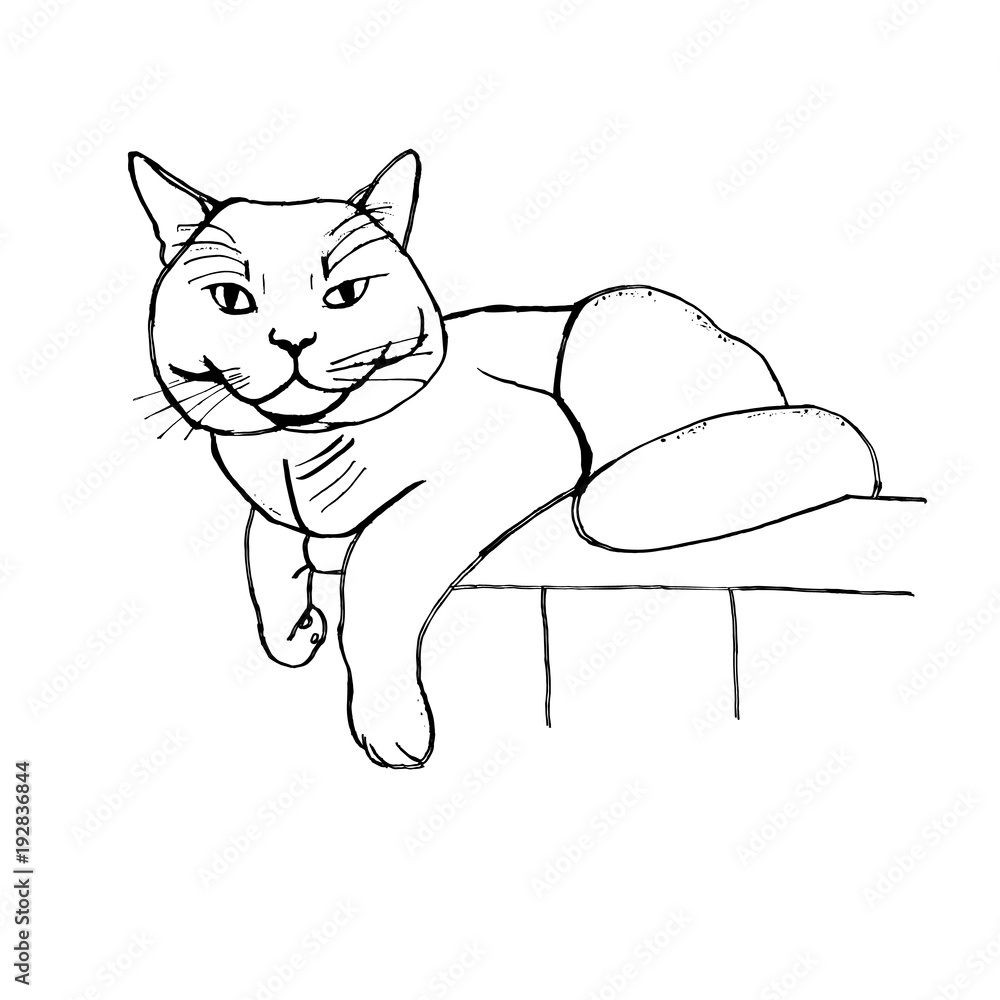 Fototapeta premium Cat silhouette ink hand drawn scketch on white background