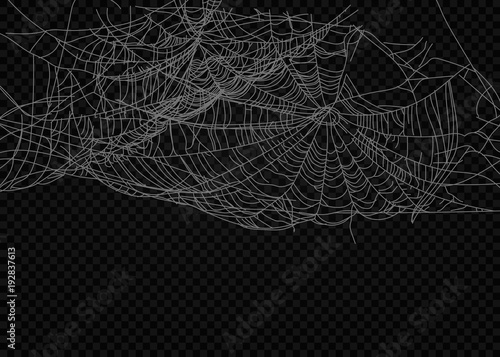 Collection of Cobweb, isolated on black, transparent background.