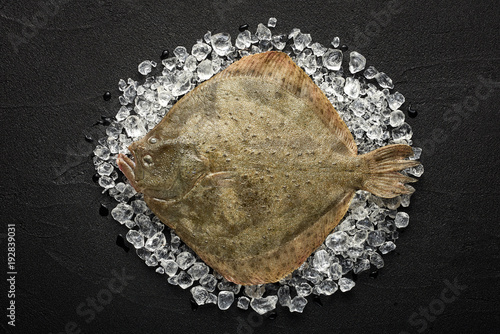 Fresh turbot fish on ice on a black stone table top view photo