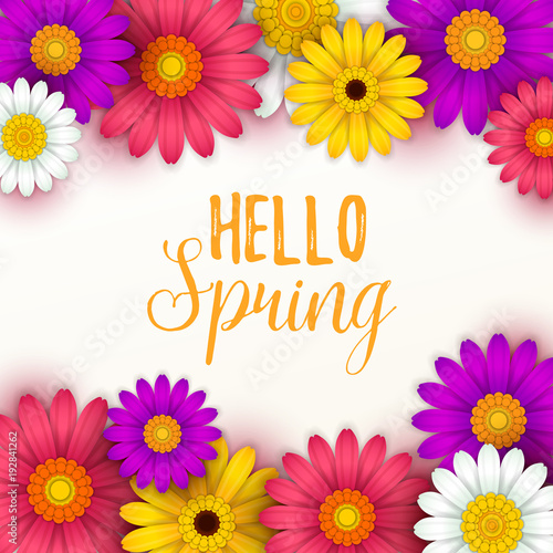 Colorful spring background with beautiful flowers. Vector illustration