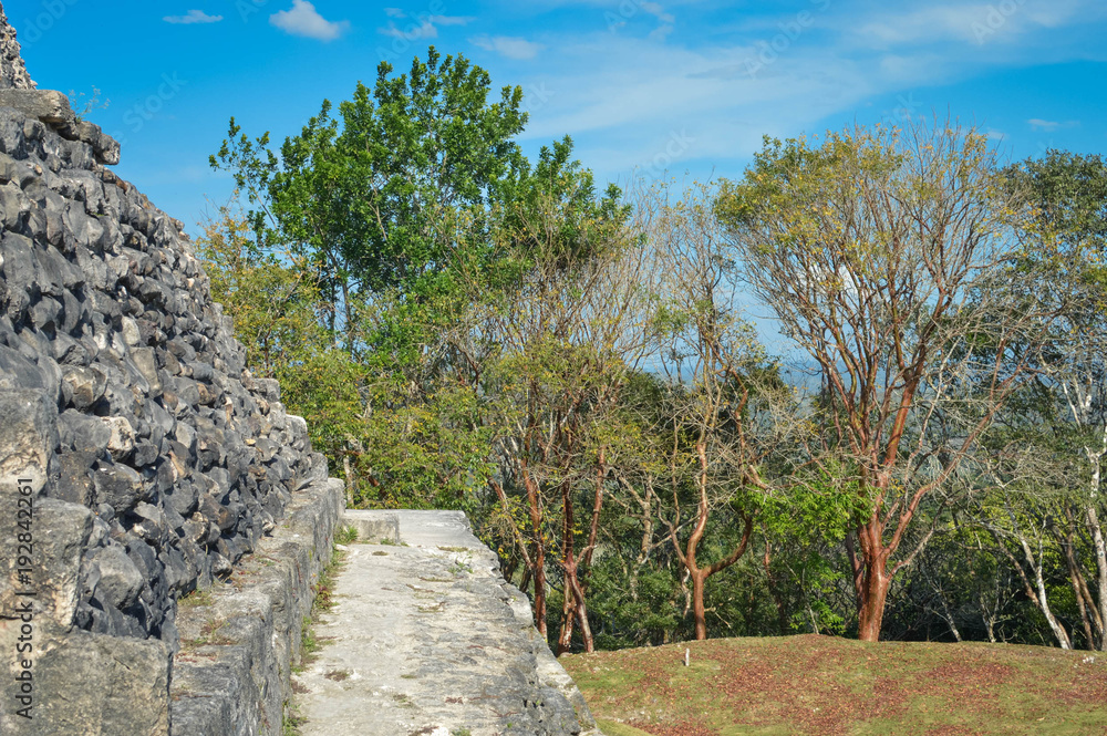 Close up of the walls of El Castillo pyramid at Xunantunich archaeological site of Mayan civilization in Western Belize. With trees and blue sky background. Central America