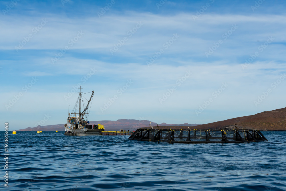 Ranchos atuneros en la Paz Baja California.