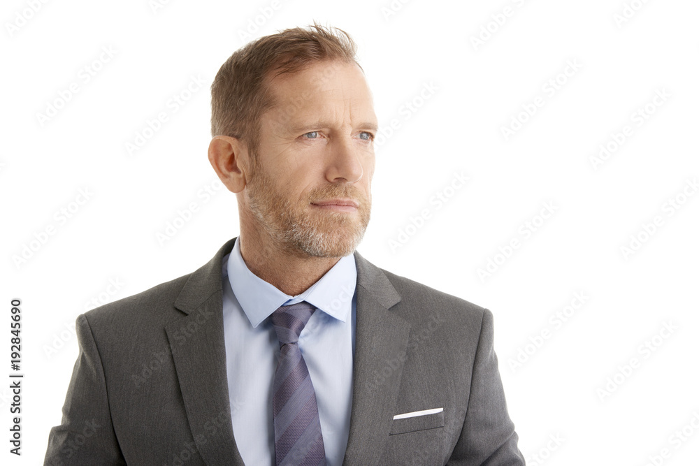 Senior businessman. Studio portrait of a middle aged man wearing suit and standing against at isolated white background. Senior businessman. Studio portrait of a middle aged man wearing suit and standing against at isolated white background.