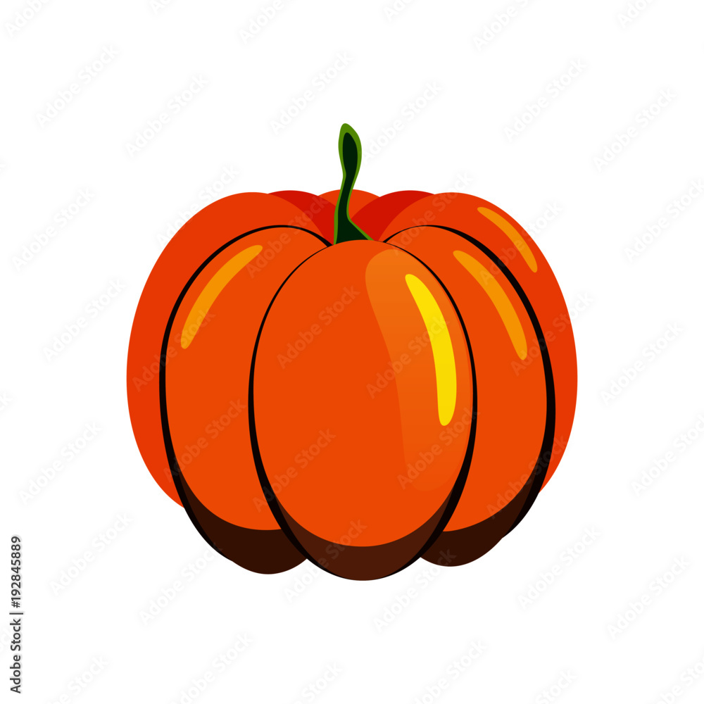 Obraz premium Vector flat illustration of ripe pumpkin